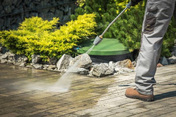 Best Gutter Cleaning and Brightening in Charlotte, TX