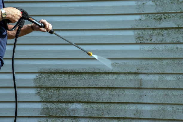 Best Fence Cleaning and Maintenance in Charlotte, TX