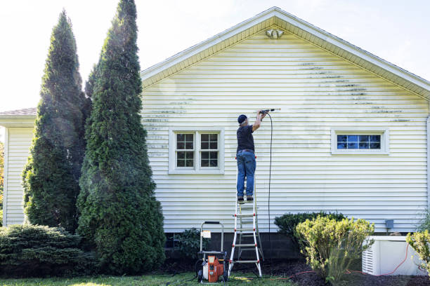 Best Soft Washing for Delicate Surfaces in Charlotte, TX